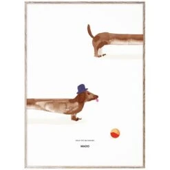 MADO Doug The Dachshund Poster, 50 X 70 Cm