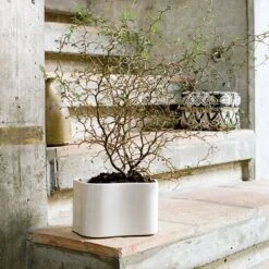 Artek Riihitie Plant Pot B, Medium, White Gloss -Hay Outlet Store 398Artek iso FV