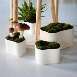Artek Riihitie Plant Pot B, Medium, White Gloss -Hay Outlet Store 405Artek iso FV