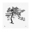 Teemu Järvi Illustrations Pine Tree Poster, 50 X 50 Cm