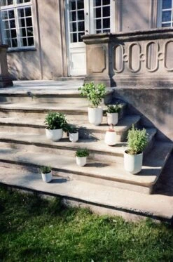 &Tradition Collect SC69 Planter, 12 X 13 Cm, Sage -Hay Outlet Store ATD 2022 Outdoor Mero Collect Palnter SC69 SC72 Lucca SC51 1