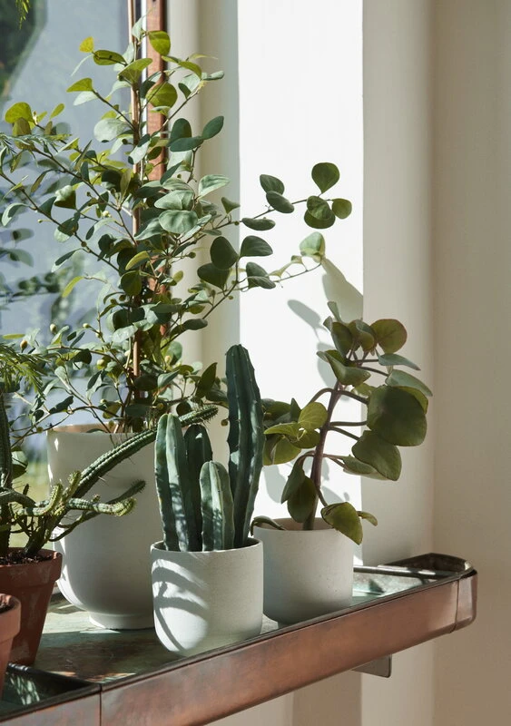 &Tradition Collect SC69 Planter Pot, 12 X 13 Cm, Milk 4 &Tradition Collect SC69 Planter Pot, 12 X 13 Cm, Milk - Image 4