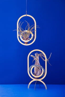 Fundamental Berlin Air Trophy Plant Holder, Brass -Hay Outlet Store FUAIR TRO blue