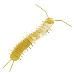 Fundamental Berlin Flatmates Ornament, Centipede, Brass