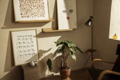 Iittala OTC Art Poster, Birdhouse -Hay Outlet Store Iittala 2021 OTC Art poster Cheetah Birdhouse All you need