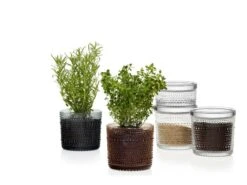 Iittala Kastehelmi Jar 116 X 57 Mm, Clear -Hay Outlet Store Kastehelmijargreydesertcleargroup 2