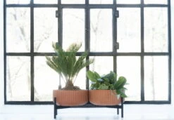 Elementa Pot, Low, Terracotta 6 Elementa Pot, Low, Terracotta -Hay Outlet Store KlorofyllbyAndersenVoll doublelowbaseterracotta