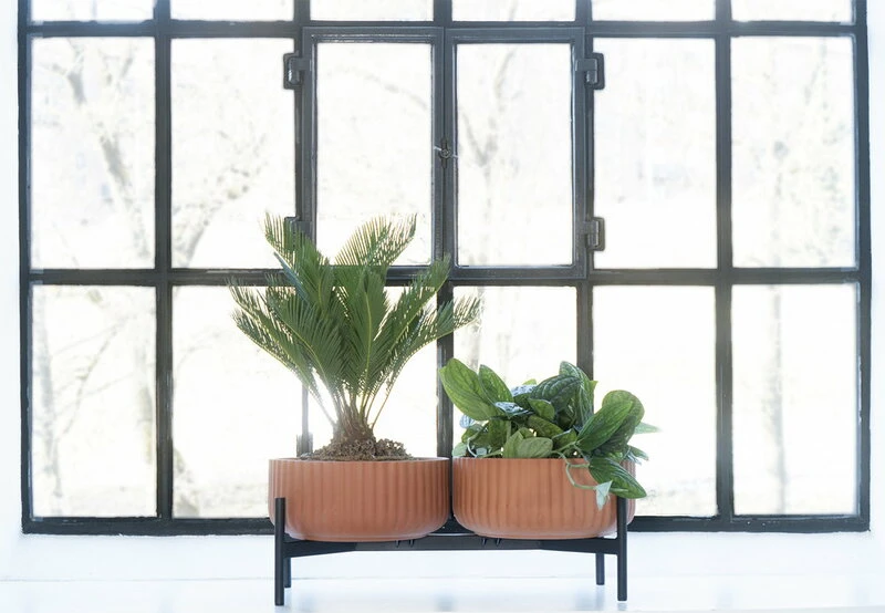 Elementa Pot, Low, Terracotta 3 Elementa Pot, Low, Terracotta - Image 3