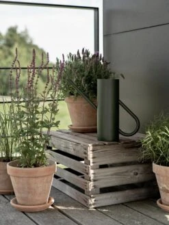 Stelton Bloom Watering Can, Pine -Hay Outlet Store LS 345 Bloom