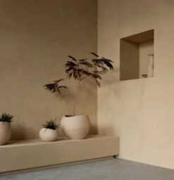 MENU Plantas Planter, 17 Cm, Ivory -Hay Outlet Store MENU Plantas Planter 2 2023