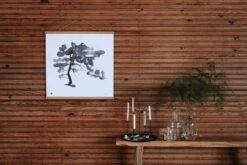Teemu Järvi Illustrations Pine Tree Poster, 50 X 50 Cm -Hay Outlet Store Pine tree Poster Teemu J rvi Illustrations Photo Susanna Vento