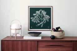 Teemu Järvi Illustrations Spruce Branch Poster, 50 X 50 Cm, Forest Green -Hay Outlet Store Spruce Branch Forest Green Teemu J rvi Illustrations Photograph Susanna Vento 1