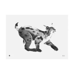 Teemu Järvi Illustrations Lynx Poster, 70 X 50 Cm