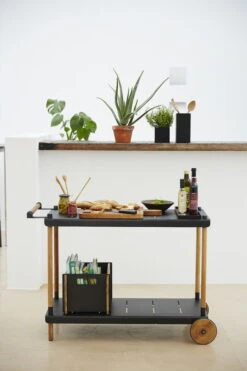 Cane-line Frame Trolley, Teak - Lava Grey -Hay Outlet Store frame 08 F 28129