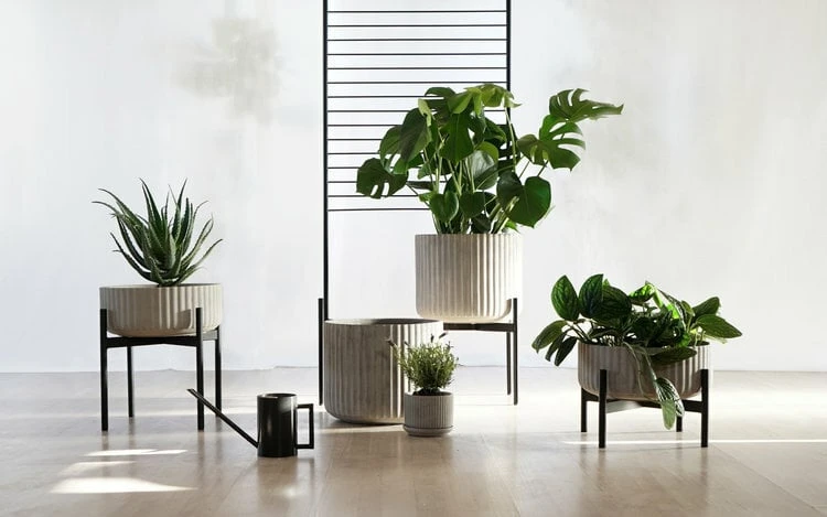 Elementa Pot, Low, Grey 4 Elementa Pot, Low, Grey - Image 4