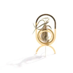 Fundamental Berlin Air Trophy Plant Holder, Brass -Hay Outlet Store xAIR TROPHY straight